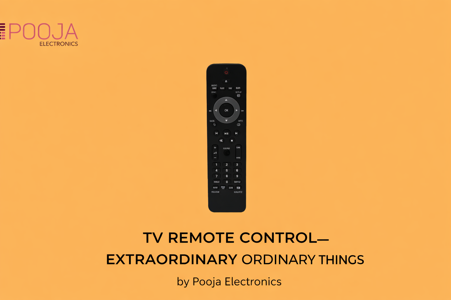 TV REMOTE CONTROL—EXTRAORDINARY ORDINARY THINGS by Pooja Electronics